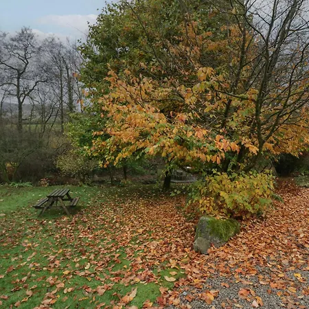 Ferienhaus Butterfly Kendal