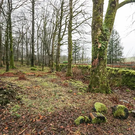 Butterfly Ferienhaus Kendal