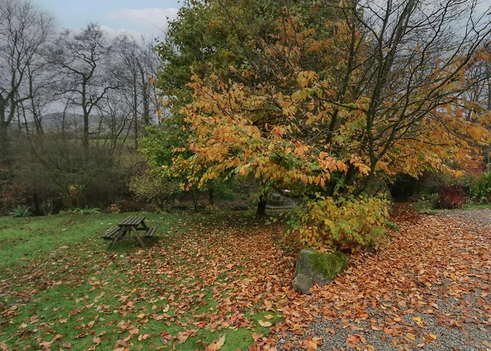 Semesterbostad Butterfly Kendal